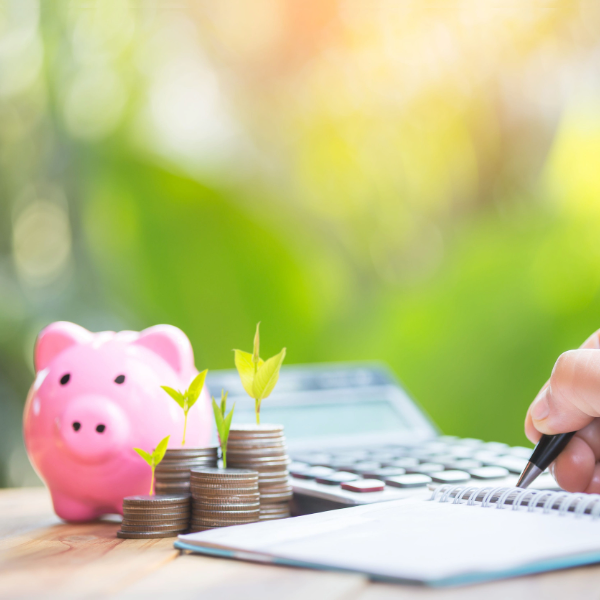 mano de una mujer organizando sus finanzas personales